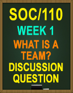 SOC/110 Week 1 What is a Team? Discussion Question
